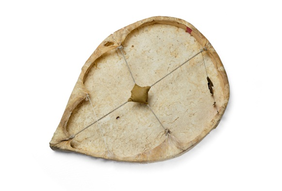 РЖФИ №173 (н) Бубен шаманский